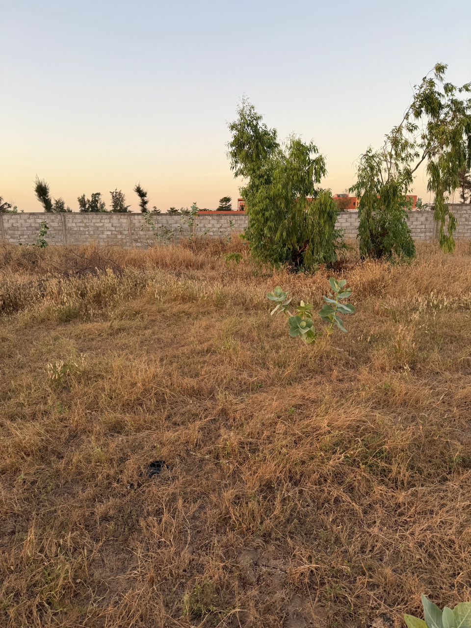 TERRAIN A VENDRE POINTE SARENE